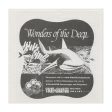 Wonders of the Deep - View-Master 3 Reel Packet - vintage - B612-S5 Online Hot Sale